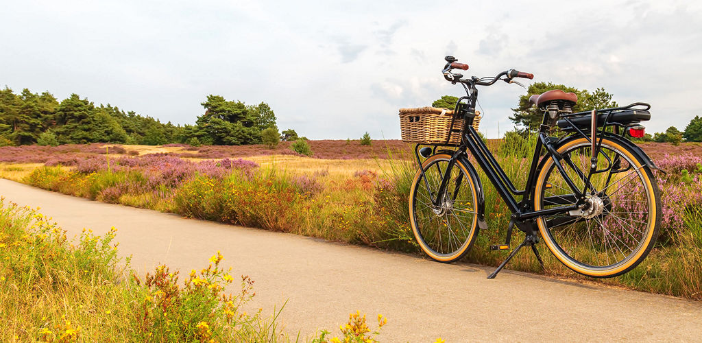 fietsendrager e-bikes